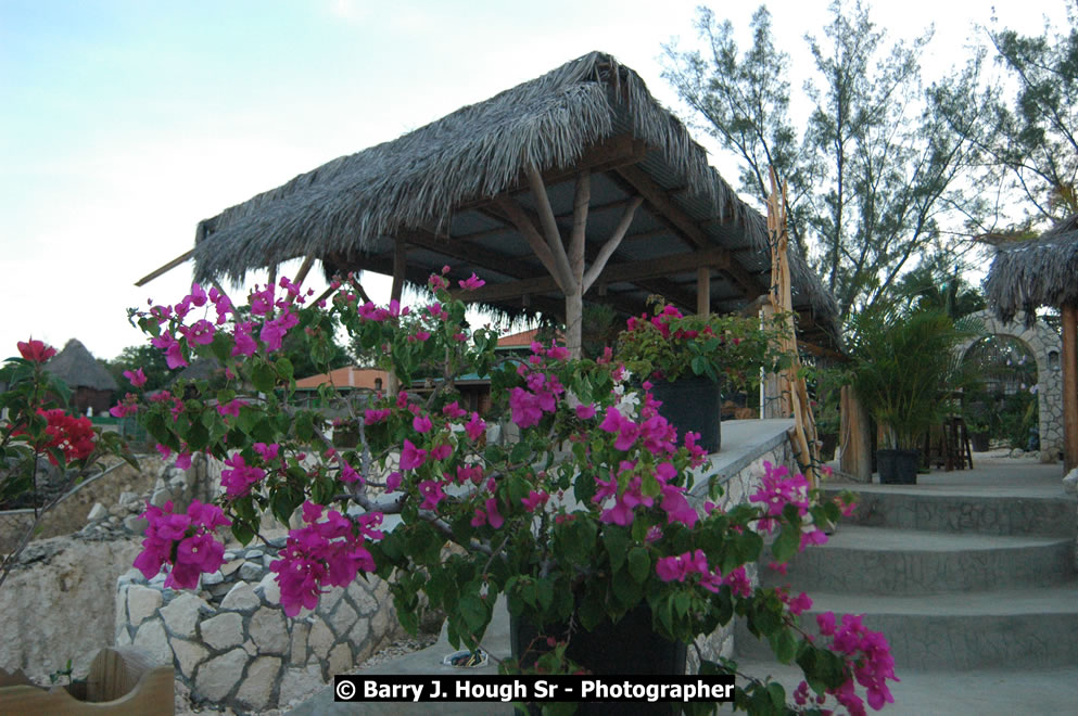 Catcha Fallen Star Resort Rises from the Destruction of Hurricane Ivan, West End, Negril, Westmoreland, Jamaica W.I. - Photographs by Net2Market.com - Barry J. Hough Sr. Photojournalist/Photograper - Photographs taken with a Nikon D70, D100, or D300 -  Negril Travel Guide, Negril Jamaica WI - http://www.negriltravelguide.com - info@negriltravelguide.com...!