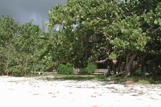 A Photo Walk along Negril's Famous Seven Mile Beach - Negril Travel Guide, Negril Jamaica WI - http://www.negriltravelguide.com - info@negriltravelguide.com...!