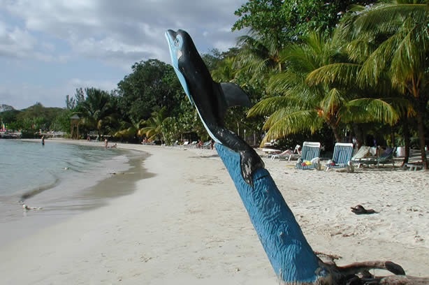 A Photo Walk along Negril's Famous Seven Mile Beach - Negril Travel Guide, Negril Jamaica WI - http://www.negriltravelguide.com - info@negriltravelguide.com...!